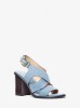 Picture of Raven Suede Block Heel Sandal
