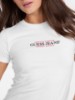 Picture of Slim American Tradition Tee