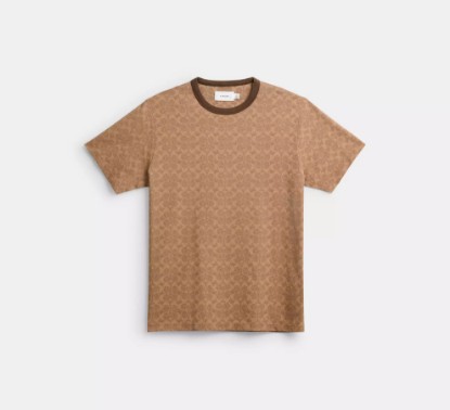 Picture of Signature T Shirt In Organic Cotton