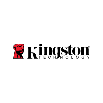 Picture for brand Kingston