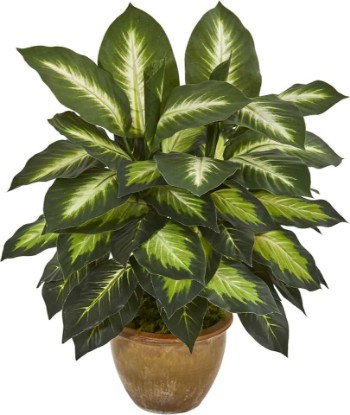 Picture of Nearly Natural 18 in Artificial Dieffenbachia Plant in Ceramic Planter | Lush Variegated Leaves, Maintenance-Free Faux Greenery, Realistic-Looking Indoor Home Decor Accent