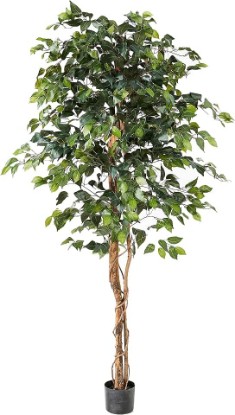 Picture of Nearly Natural 6ft Triple Trunk Artificial Ficus Tree with Natural Wood Trunks, Fake Tree for Indoor Home Décor, Faux Ficus Tree with Black Nursery Pot