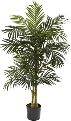 Picture of Nearly Natural 5 ft Artificial Golden Cane Palm Tree with Nursery Pot | Double-Stalk Faux Tropical Plant, Indoor Living Room Decor, Easy-Setup, Low-Maintenance