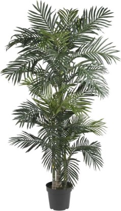 Picture of Nearly Natural 6.5 ft Artificial Golden Cane Palm Tree with Nursery Pot | Lifelike Silk Indoor Palm, Three Textured Trunks, Flexible Fronds, Low-Maintenance