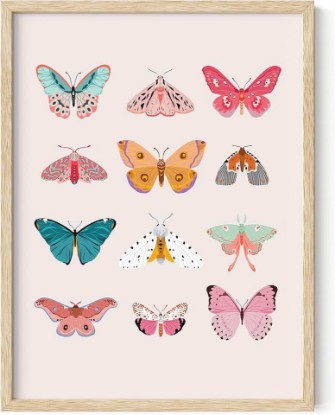 Picture of HAUS AND HUES Vintage Butterfly Posters & Prints - Wall Art Decor, Monarch Art Prints, Butterflies Wall Decor (Beige Framed, 12x16)