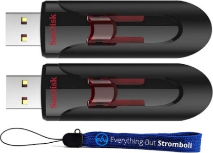 Picture of SanDisk 2 Pack 16GB Glide 3.0 Retractable USB-A Flash Drive for Computers | Pen Drive Used with PCs and Laptops for Extended Storage (SDCZ600-016G-B35) Bundle with (1) Everything But Stromboli Lanyard