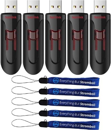 Picture of SanDisk USB 3.0 Flash Drive 16GB 5 Pack Cruzer Glide Retractable Pen Drive Up to 100MB/s Read Speed (SDCZ600-016G-B35) Bundle with (5) Everything But Stromboli Lanyards | Up to 100MB/s Read Speed (SDCZ600-016G-B35) Bundle with (5) Everything But Stromboli Lanyards