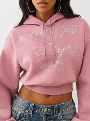 CRYSTAL LOGO SHRUNKEN HOODIE