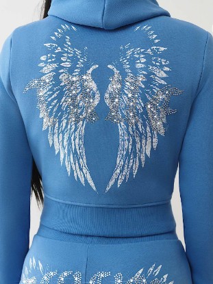 CRYSTAL WING SHRUNKEN ZIP HOODIE