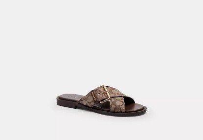 Picture of Crisscross Buckle Sandal In Signature Jacquard