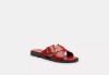 Picture of Crisscross Buckle Sandal