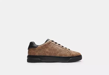 Picture of High Line Sneaker In Signature Canvas