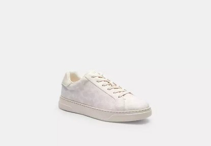 Picture of High Line Sneaker in Signature Canvas