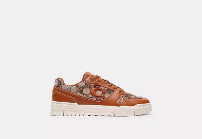Picture of Soho Sneaker with Crystal Signature Jacquard