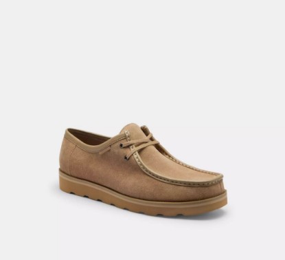 Picture of Chukka Shoe with Signature Canvas