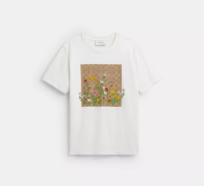Picture of Signature Square T-Shirt in Organic Cotton