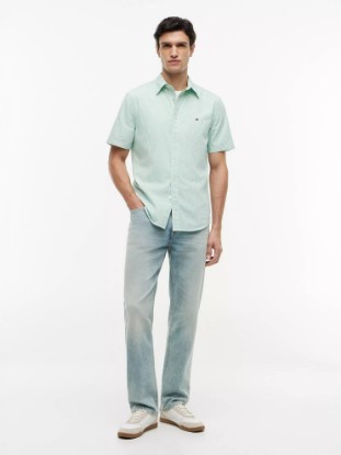 Picture of Regular Fit Short-Sleeve Striped Shirt