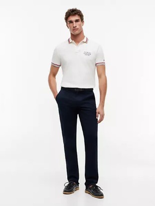 Picture of Regular Fit Tipped Smooth Cotton Polo