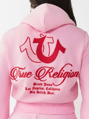 EMBROIDERED BIG T SHRUNKEN ZIP HOODIE