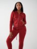 BIG T STITCH LOGO ZIP HOODIE