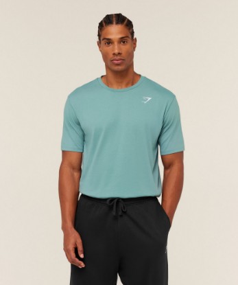 Picture of Crest T-Shirt