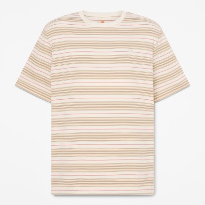Striped TShirt TBL Vintage WhiteRose HERO