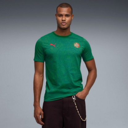 Mexico Soccer Fanwear Men's Tee, Archive Green-PUMA Red, extralarge
