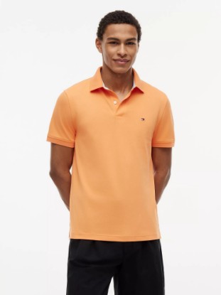 Picture of Regular Fit Stretch Tommy Polo