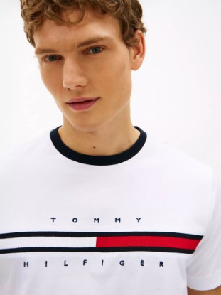 Picture of Embroidered Flag Logo T-Shirt