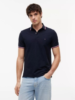Picture of Regular Fit Tommy Wicking Polo