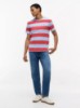 Picture of Rugby Stripe T-Shirt