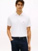 صورة Regular Fit Stretch Tommy Polo