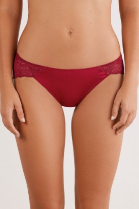 Lace and Silk Bikini Briefs