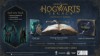Picture of Hogwarts Legacy Collector's Edition - PC