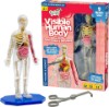 Picture of Thames & Kosmos Ooze Labs: Visible Human Body with Squishable Organs