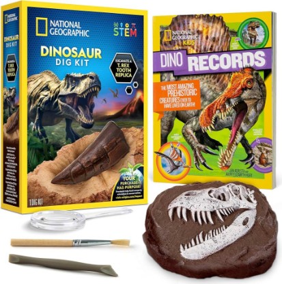 Picture of National Geographic Dinosaur Fossil Dig Kit with Dino Book for Kids 8-12 | Replica Dinosaur Tooth Fossil, Full-Color Dino Book, Excavation Tools, Paleontology Learning, STEM Activity