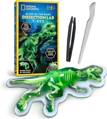 Picture of National Geographic Glow-in-the-Dark T. Rex Dissection Lab Kit for Kids | Synthetic Dinosaur, 9.5-Inch Glowing Skeleton Model, Refill Pack, Dinosaur Anatomy, STEM Activity, Birthday Gift