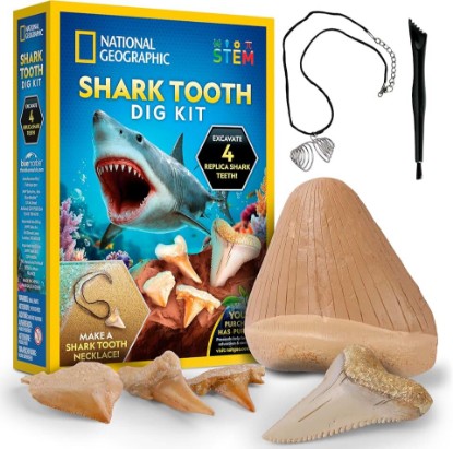 Picture of National Geographic Shark Tooth Fossil Dig Kit and Necklace for Kids | Replica Shark Teeth & Fossils, Make a Shark Tooth Necklace, Excavation Tools, Paleontology Activity, STEM Learning