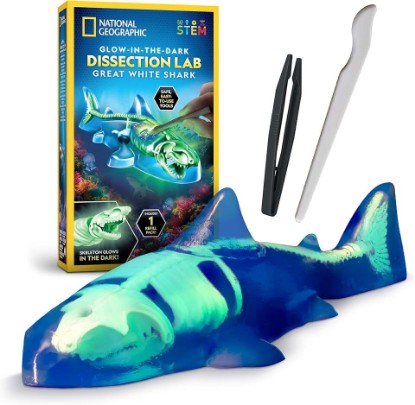 Picture of National Geographic Glow-in-the-Dark Shark Dissection Kit for Kids | Glow-in-the-Dark Great White Model, 12 Bones and Organs, Refill Pack, Kid-Friendly Tools, Shark Anatomy, Birthday Gift