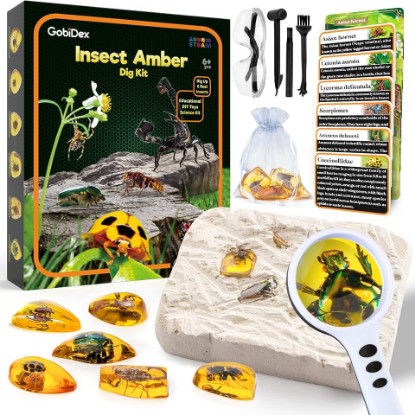 Picture of GobiDex Amber Dig Kit for Kids Ages 6+, Excavate 6 Insects Specimens | STEM Geographic Educational Bugs Toys, Excavation Toys for Fun Bugs Party Favors, Science Kits for Kids Age 6-8 8-12