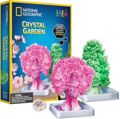 Picture of National Geographic Crystal Garden Growing Kit for Kids - Educational Science Kits for Kids Age 8+ Grow Genuine Rose Quartz Crystal Covered Trees | STEM Gifts for 8+ Year Old Boys and Girls