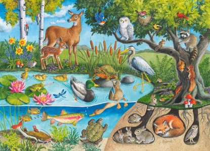 Picture of Ravensburger Animals Above and Below - 60 Piece Jigsaw Puzzle for Kids | Explore Nature’s Layers | Promotes Problem Solving Skills | FSC-Certified Materials The Forest Stewardship Council