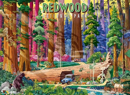 Picture of Ravensburger Redwood National Park 500 Piece Puzzle for Adults The Forest Stewardship Council