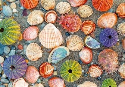 Picture of Ravensburger Puzzle Moment: By The Seashore 300 Piece Jigsaw Puzzle for Adults - 12001326 - Handcrafted Tooling, Made in Germany, Every Piece Fits Together Perfectly