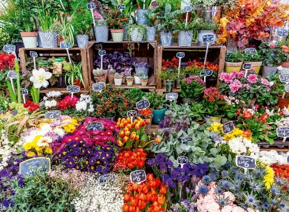 Picture of Ravensburger Flower Market, France 500 Piece Puzzle for Adults The Forest Stewardship Council