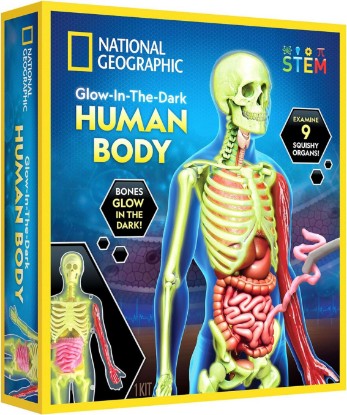 Picture of National Geographic Glow in the Dark Human Body Educational Toy