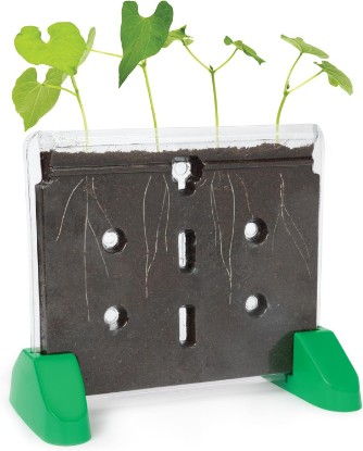 Picture of Educational Insights Sprout & Grow Window - See-Through Sprouts Growing Kit, Kids Gardening Set, Kid-Friendly Science Kits, Root Viewer, Gardening Kit for Kids, Indoor Classroom Planter, Ages 5+