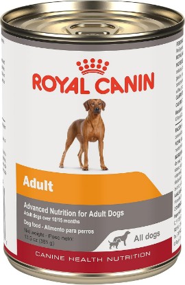 Picture of ROYAL CANIN Canine Health Nutrition Adult in Gel Dog Food, 13.5 oz (Pack of 12) | Specialized Nutrition For Adult Dogs, Contains B Vitamins, Highly Palatable, Loaf in Sauce, Developed by Veterinarians