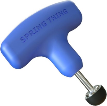 Picture of Spring Thing: Pinpoint Massage for Instant Pain and Tension Relief