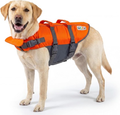 Picture of Outward Hound Granby Splash Dog Life Jacket, Life Vest, Orange, Large | Max Buoyancy, Adjustable Fit, Head/Neck Support, Rescue Handle, Reflective, Swimming & Boating, Large Dogs (28–32" Girth)